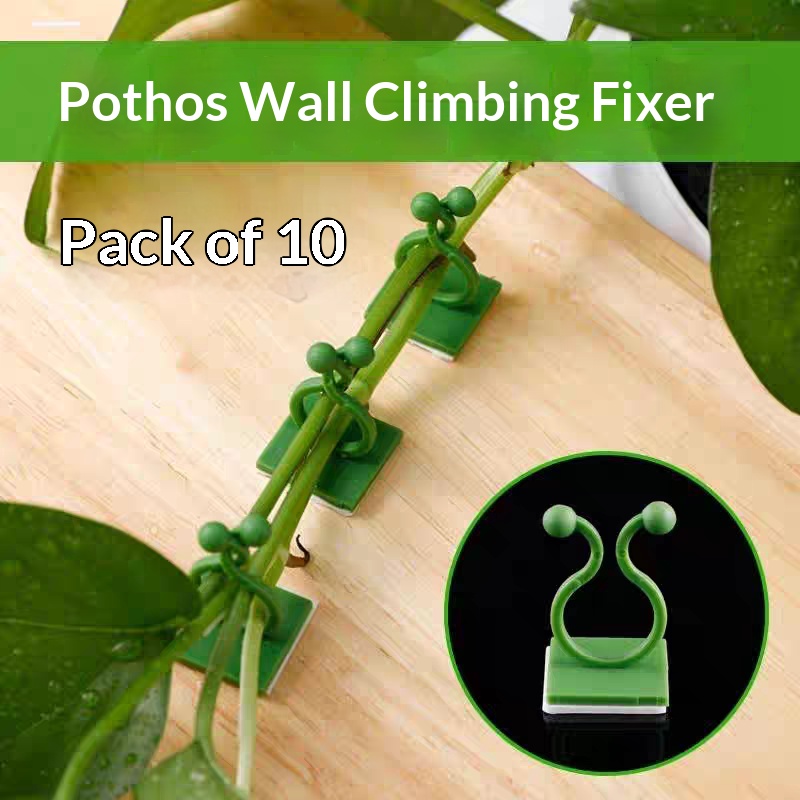 Wall Anchor Plastic - Self‑Adhesive Plant Climbing Wall Fixture Clips