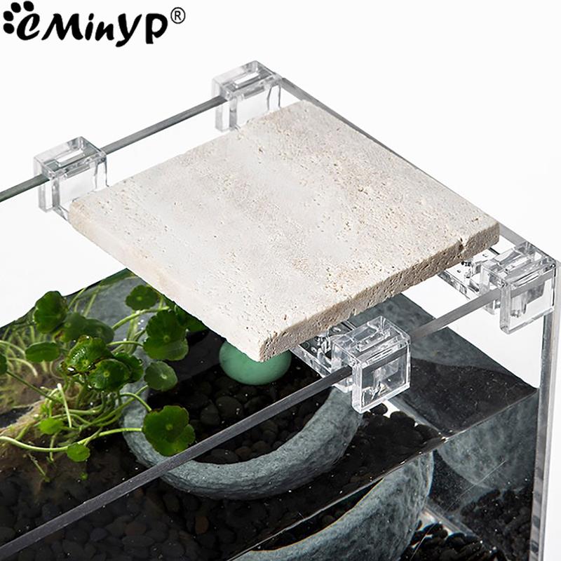 4Pcs Fish Tank Acrylic Clips f - Wall Anchor Plastic 评论和价格