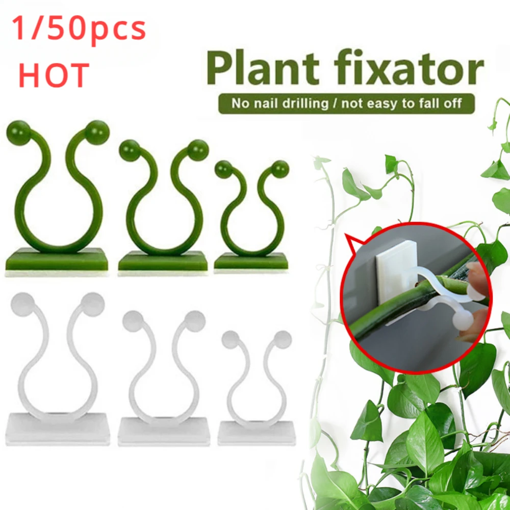 1/30/50Pcs For Garden Accsesor - Wall Anchor Plastic 评论和价格