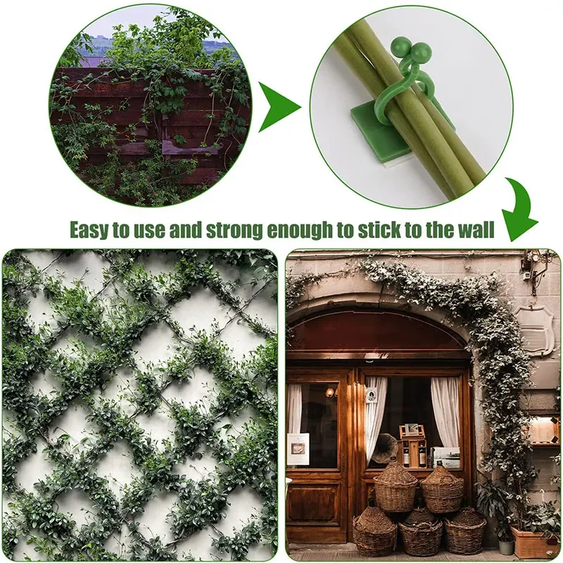 1/30/50Pcs For Garden Accsesor - Wall Anchor Plastic 评论和价格