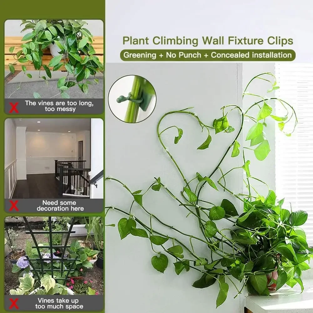 1/30/50Pcs For Garden Accsesor - Wall Anchor Plastic 评论和价格
