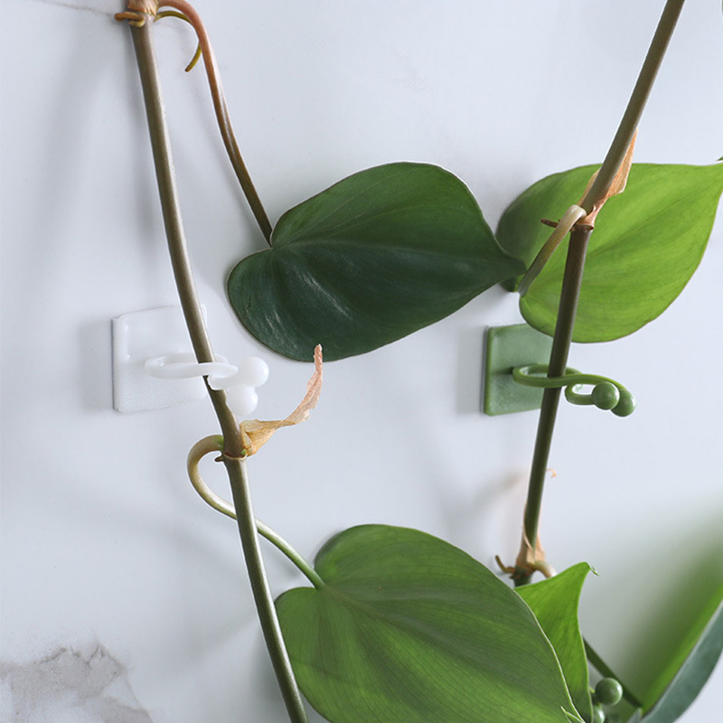 100pcs-Home Garden Plant Climb - Wall Anchor Plastic 评论和价格