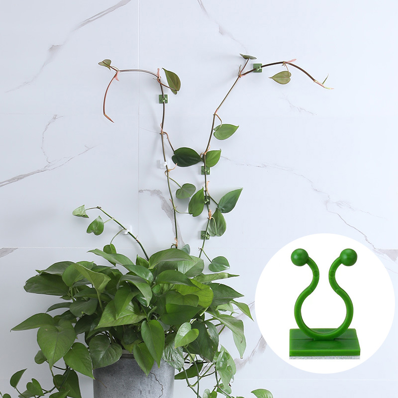 100pcs-Home Garden Plant Climb - Wall Anchor Plastic 评论和价格