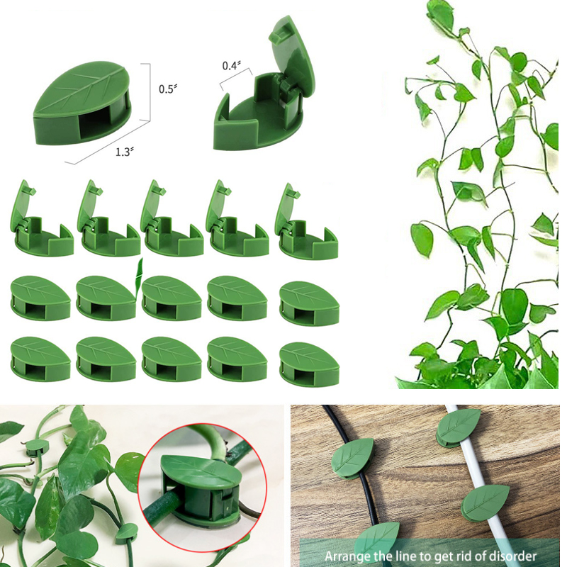 Invisible Plant Climbing Wall  - Wall Anchor Plastic 评论和价格