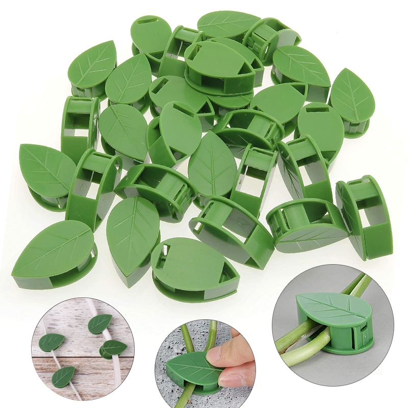 Invisible Plant Climbing Wall  - Wall Anchor Plastic 评论和价格