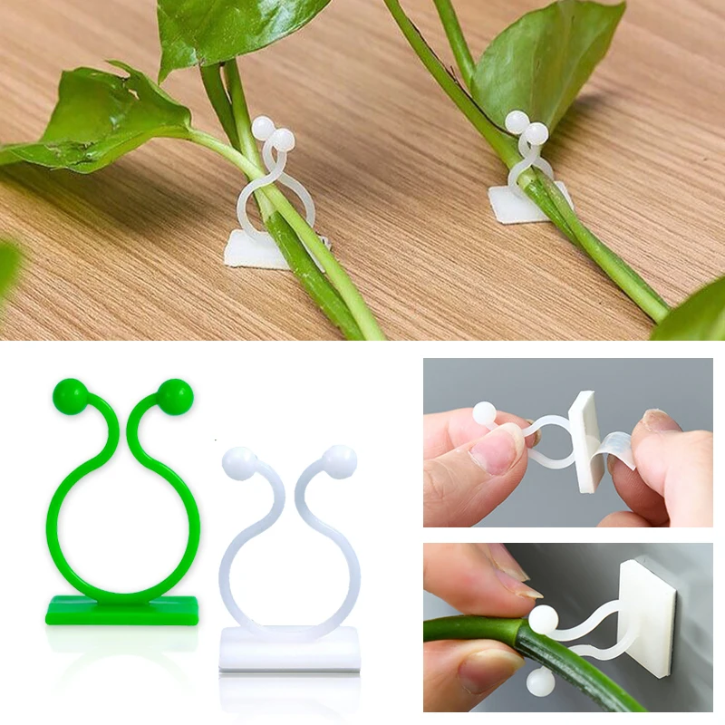 Plant Climbing Wall Self-Adhes - Wall Anchor Plastic 评论和价格