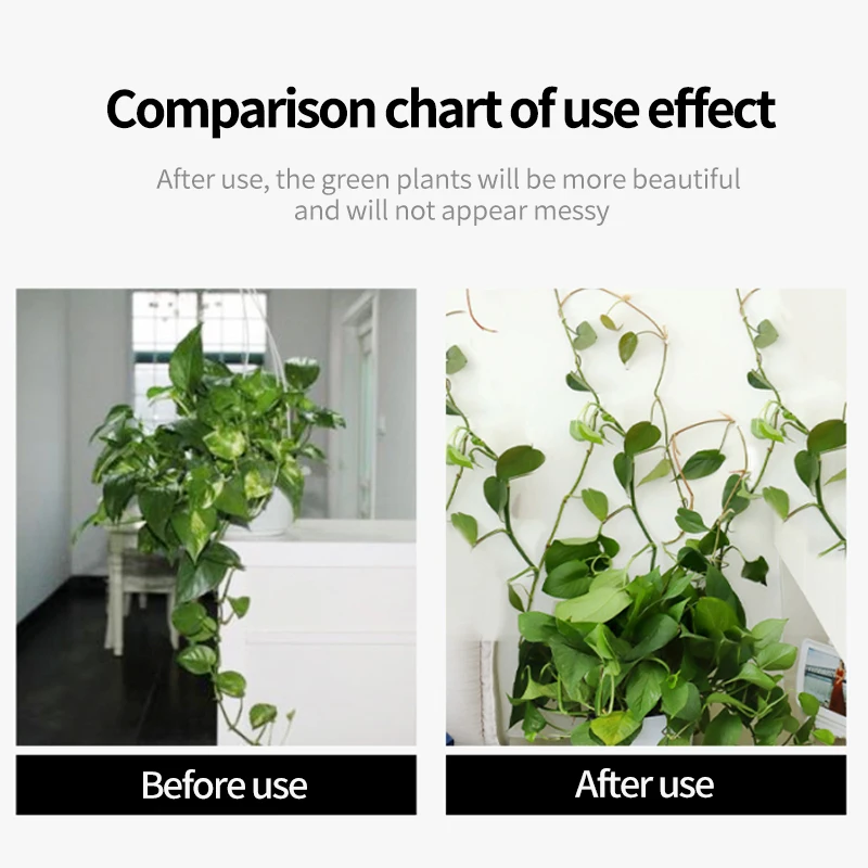 Plant Climbing Wall Self-Adhes - Wall Anchor Plastic 评论和价格